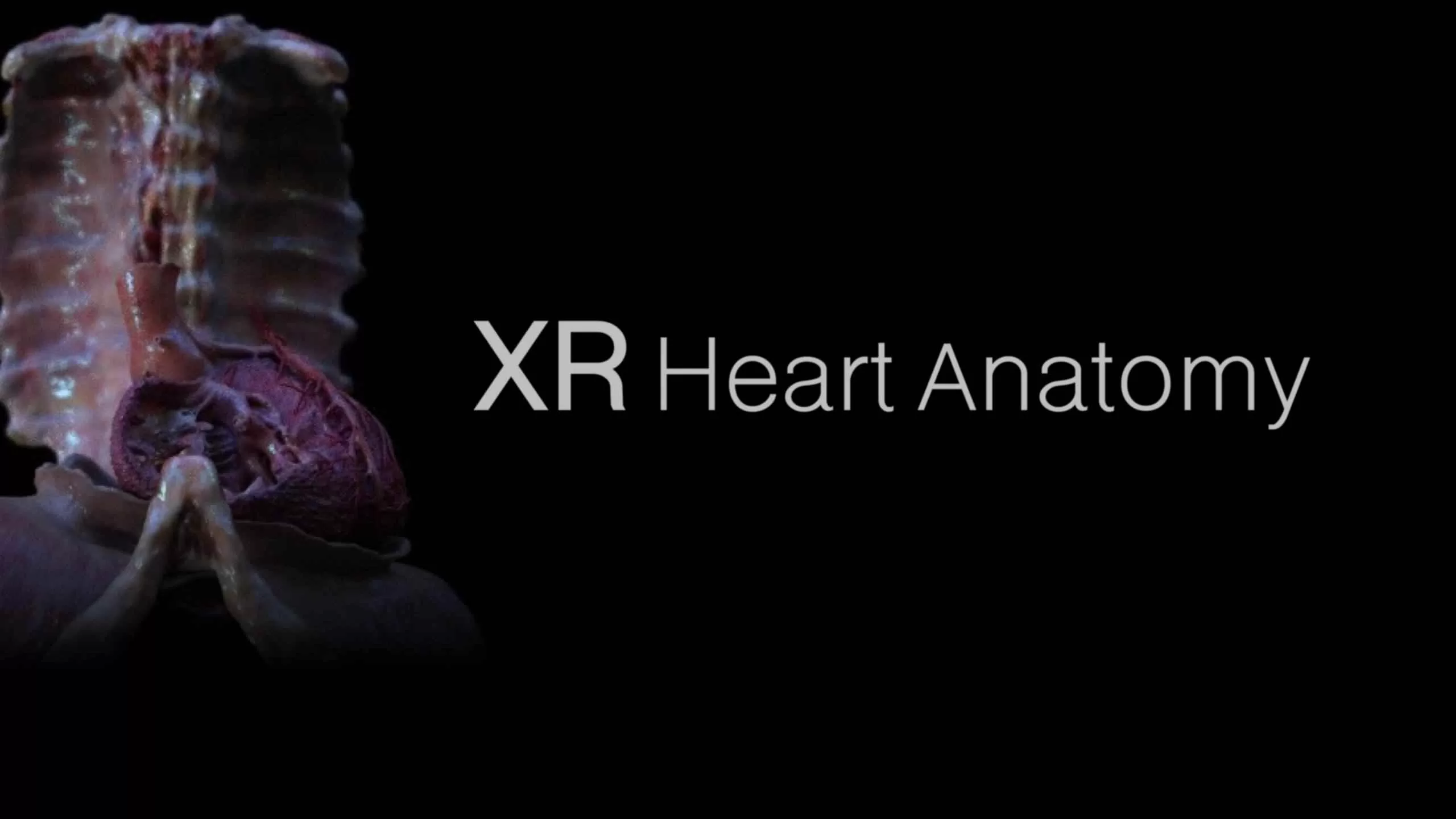 《XR 心脏解剖》XR Heart Anatomy