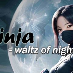 《忍者-夜之华尔兹》Ninja – Waltz of Night