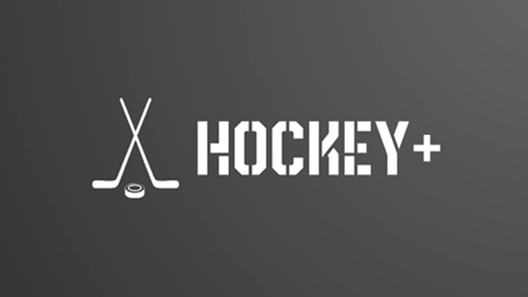 《曲棍球+》Hockey+